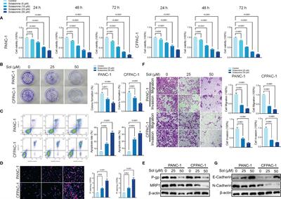 Solasonine Inhibits Pancreatic Cancer Progression With Involvement of Ferroptosis Induction